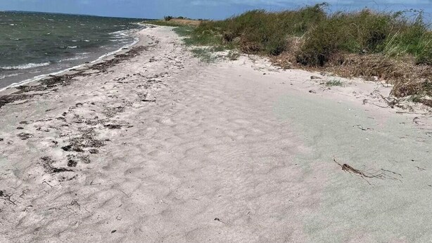 A sandy beach with ocean waves, vegetation, and a clear sky. - Colorful summerhouse close to the sea (Maribo)