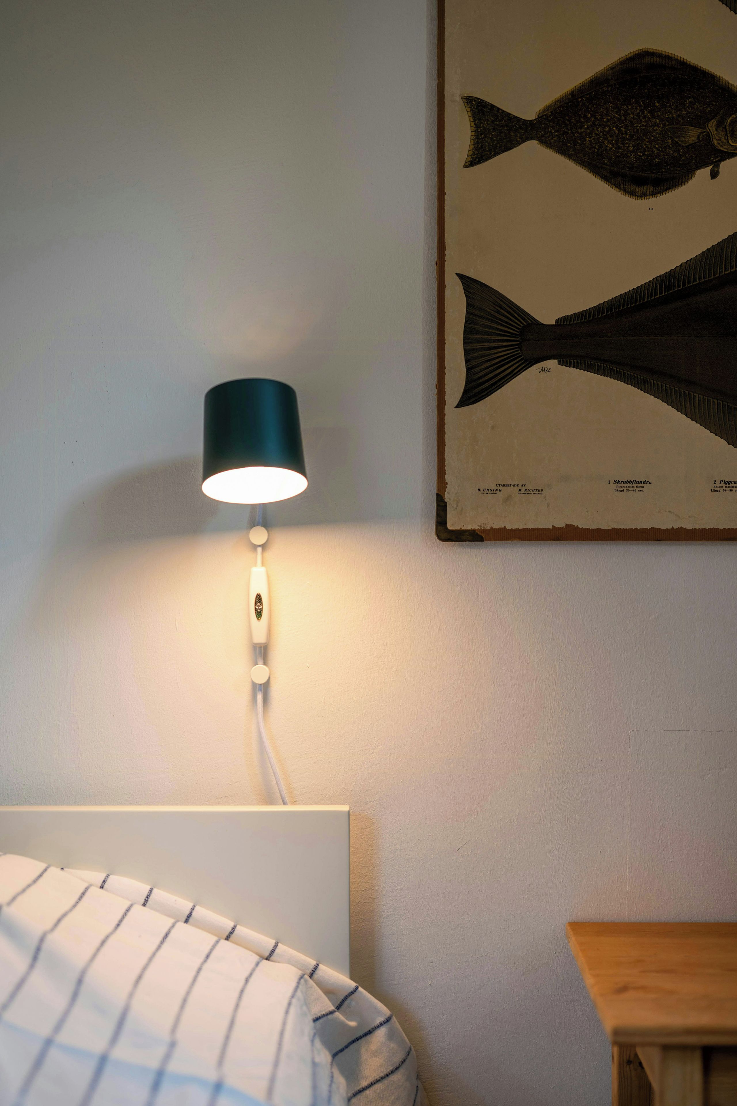 A bed with a striped pillow, a wall-mounted lamp, and a framed fish illustration.