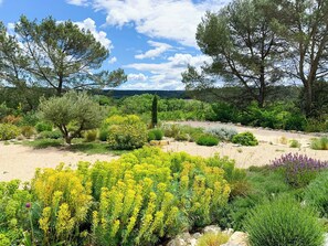 Ein Garten mit verschiedenen Pflanzen und Bäumen, ein Feldweg und ein klarer Himmel.