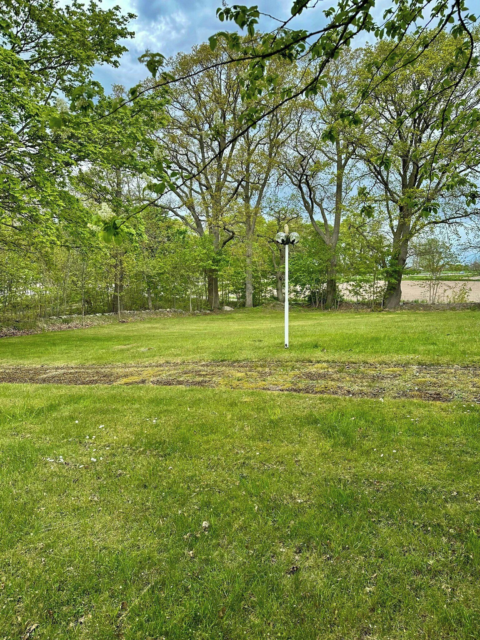 Un espace vert, un parc avec des arbres et un lampadaire blanc.