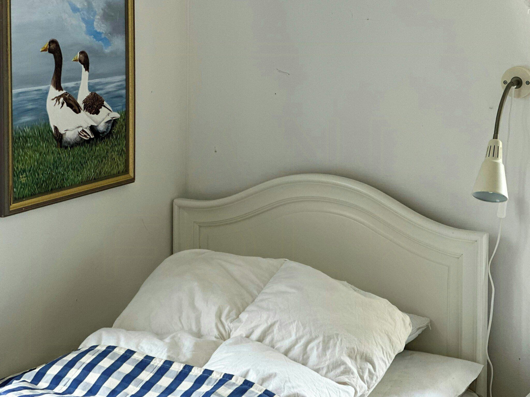 Ein Bett mit weißer Bettwäsche und einem blau-weiß gestreiften Kopfkissen, ein weißer Kopfteil, eine wandmontierte Lampe und ein gerahmtes Bild von zwei Enten.