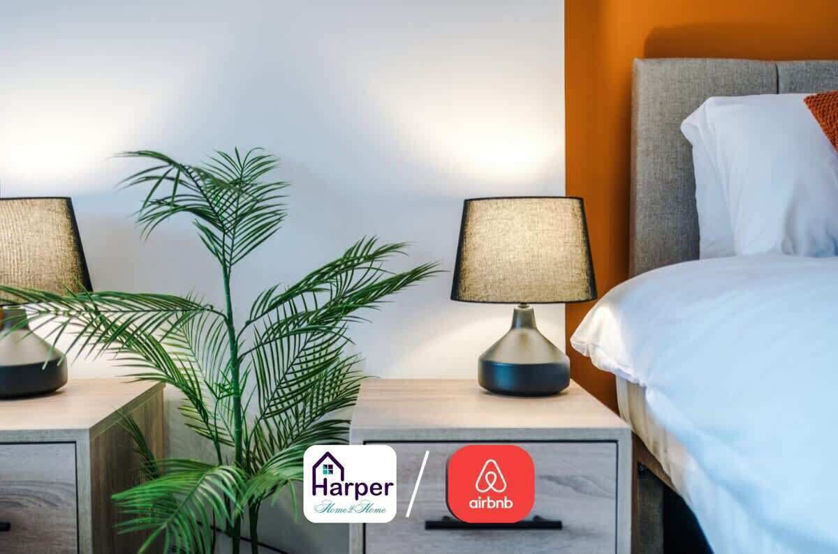 A hotel room with a bed, two bedside lamps, a potted plant, and a nightstand with a drawer.