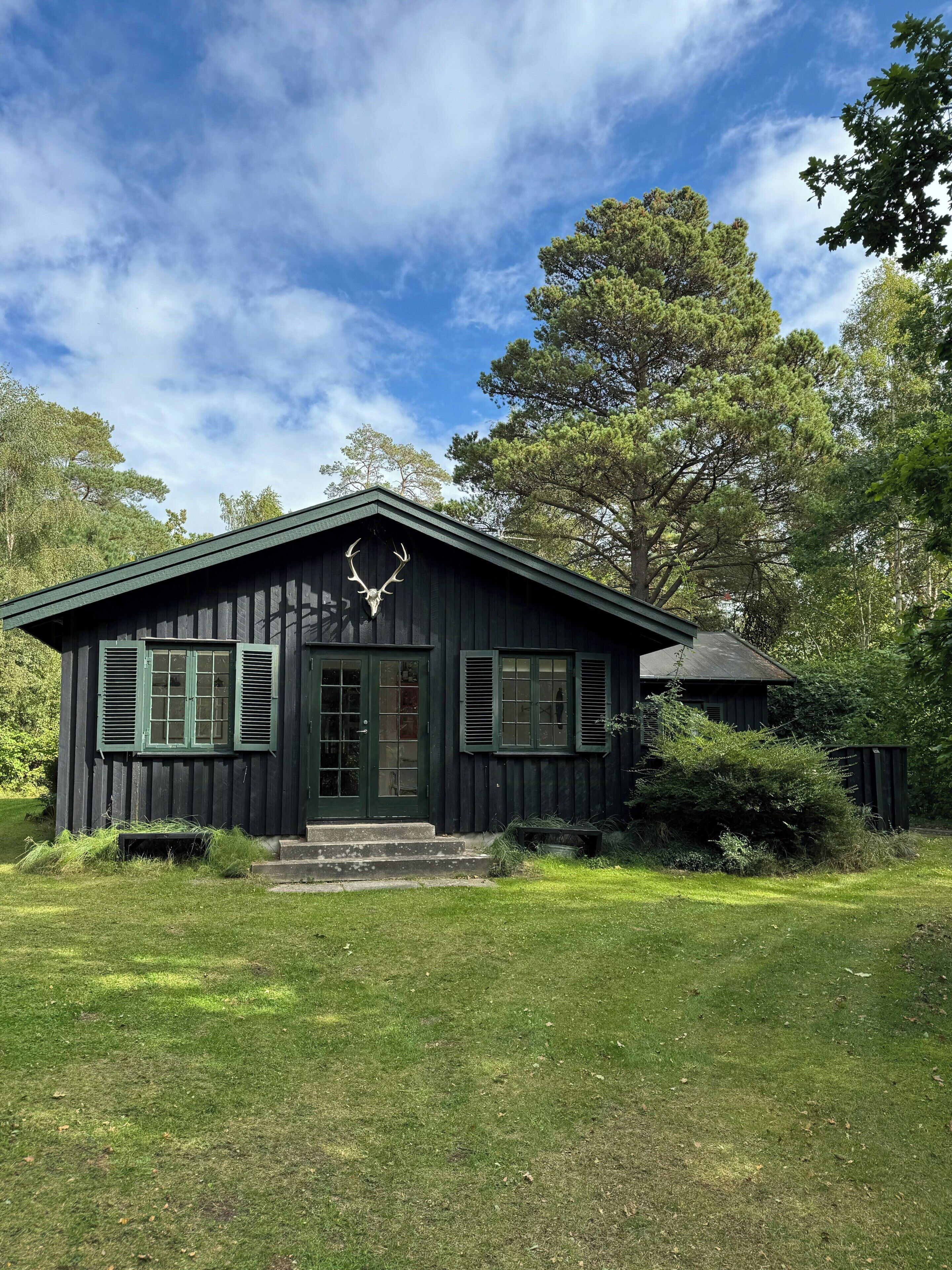 Una petita cabana de fusta amb un crani de cervís muntat a la façana, envoltada de vegetació abundant i arbres.