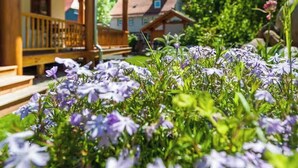 A wooden porch with steps leading to a house, surrounded by lush greenery and purple flowers. - Chalet with sauna at Ilsetal in the Harz (Ilsenburg (Harz))
