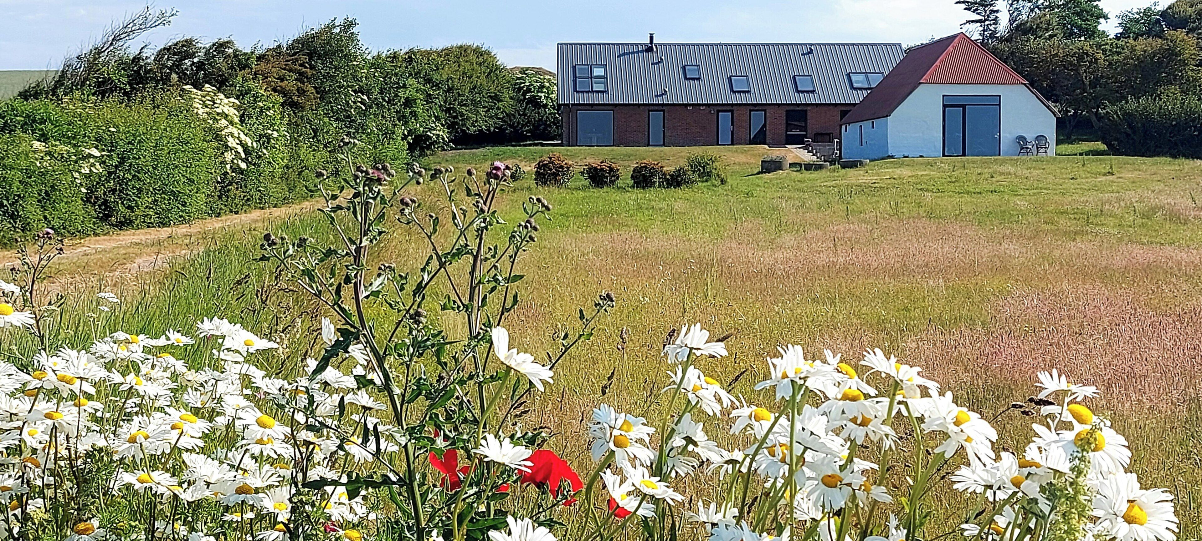 Boendeområde