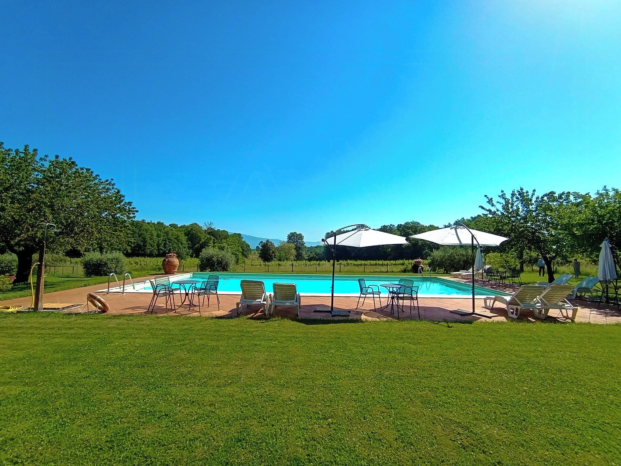 Ein Swimmingpool mit Liegestühlen und Sonnenschirmen, umgeben von Gras und Bäumen.