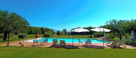 Ein Swimmingpool mit Liegestühlen und Sonnenschirmen, umgeben von Gras und Bäumen.