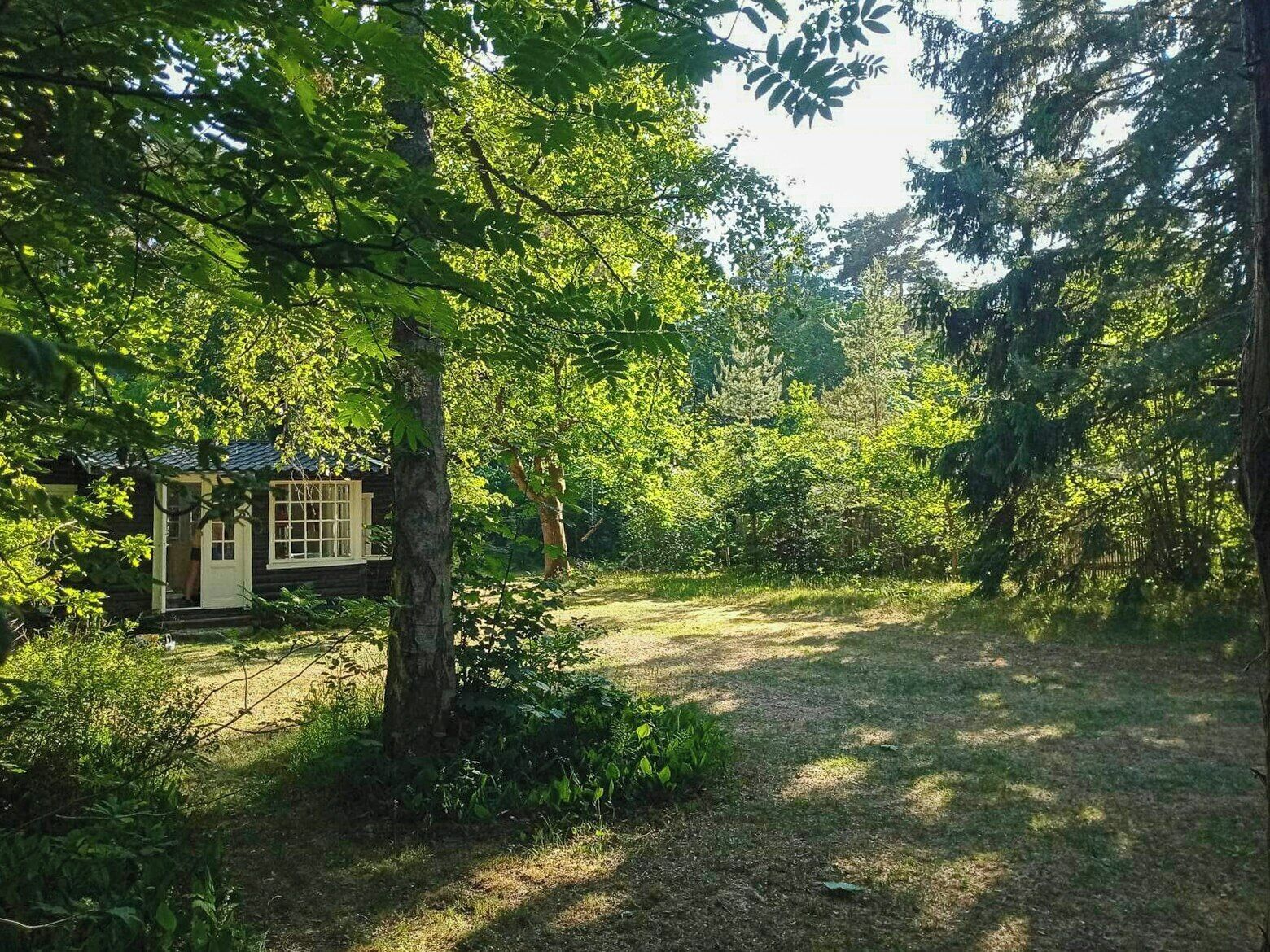 Une cabane entourée d’une forêt dense, accessible par un sentier de terre.