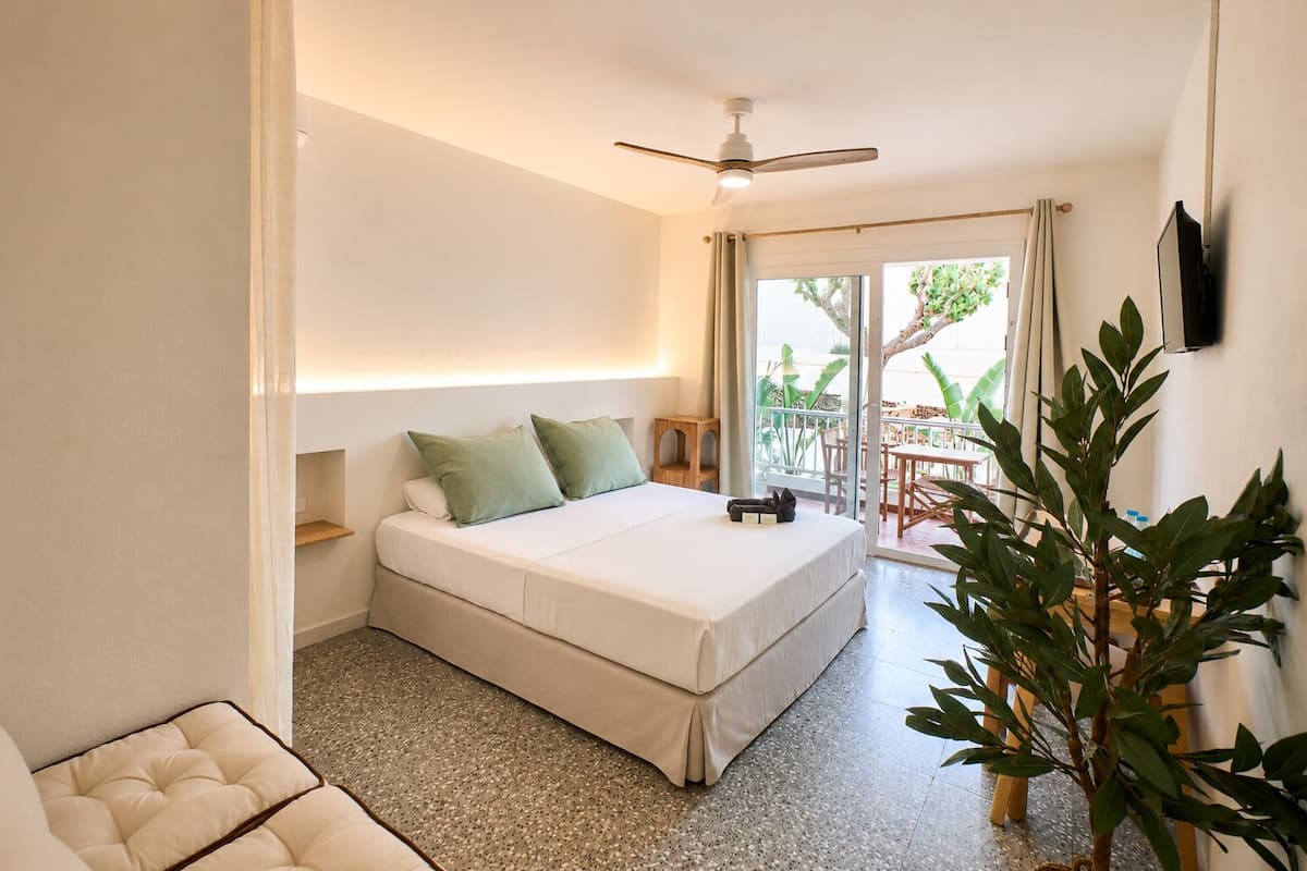 A bedroom with a bed, a ceiling fan, a small table, a chair, and a potted plant.