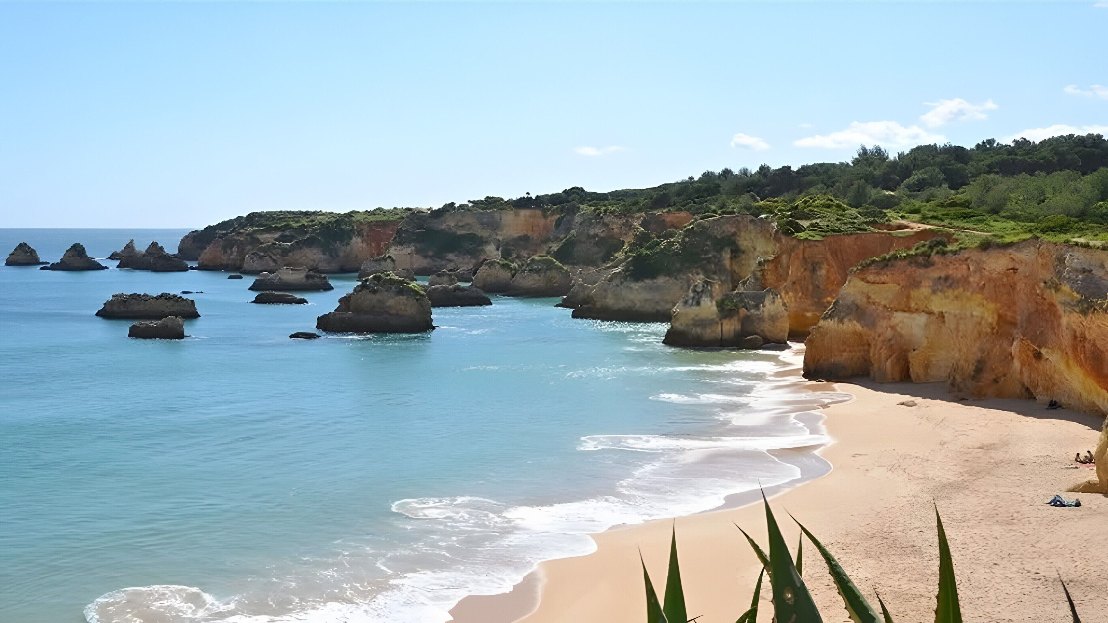 Playa