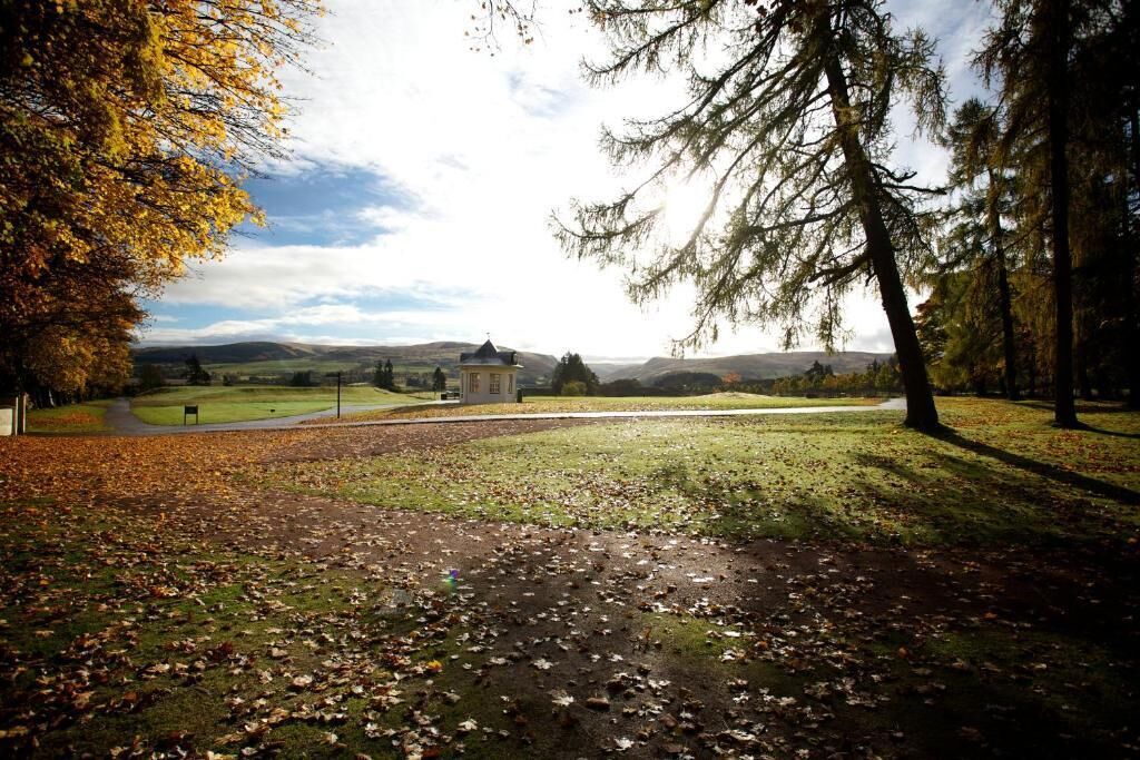 Golf view