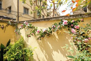 Comfort-Vierbettzimmer, Kochnische, zum Innenhof hin | Außendetails