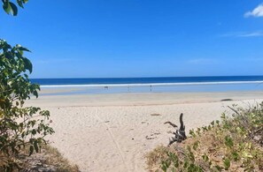 Ein Strand mit blauem Himmel, sandigem Ufer und vereinzelter Vegetation.