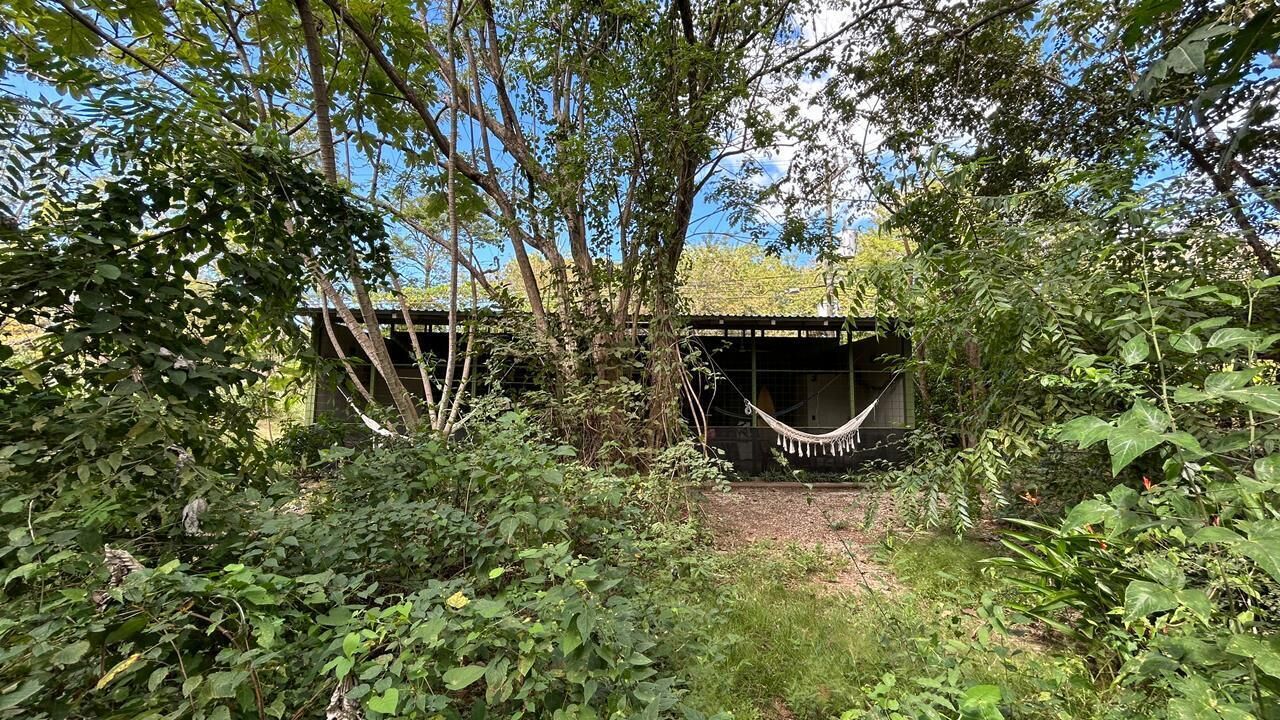 A hammock suspended between trees in a natural setting with a building in the background.