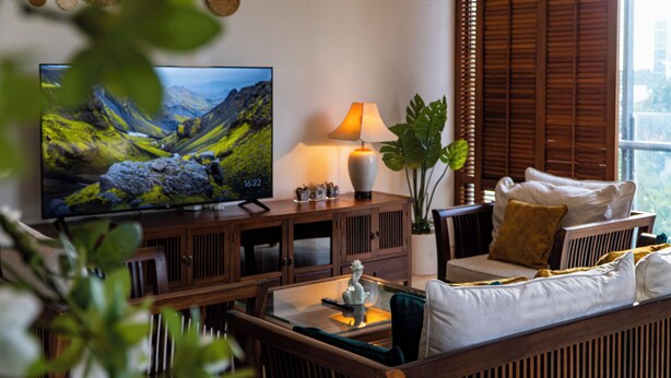 Un salon avec une télévision, des meubles en bois, une lampe et une plante.