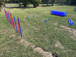 Un campo cubierto de césped con postes azules y rojos dispuestos en fila, un túnel azul y un árbol al fondo.