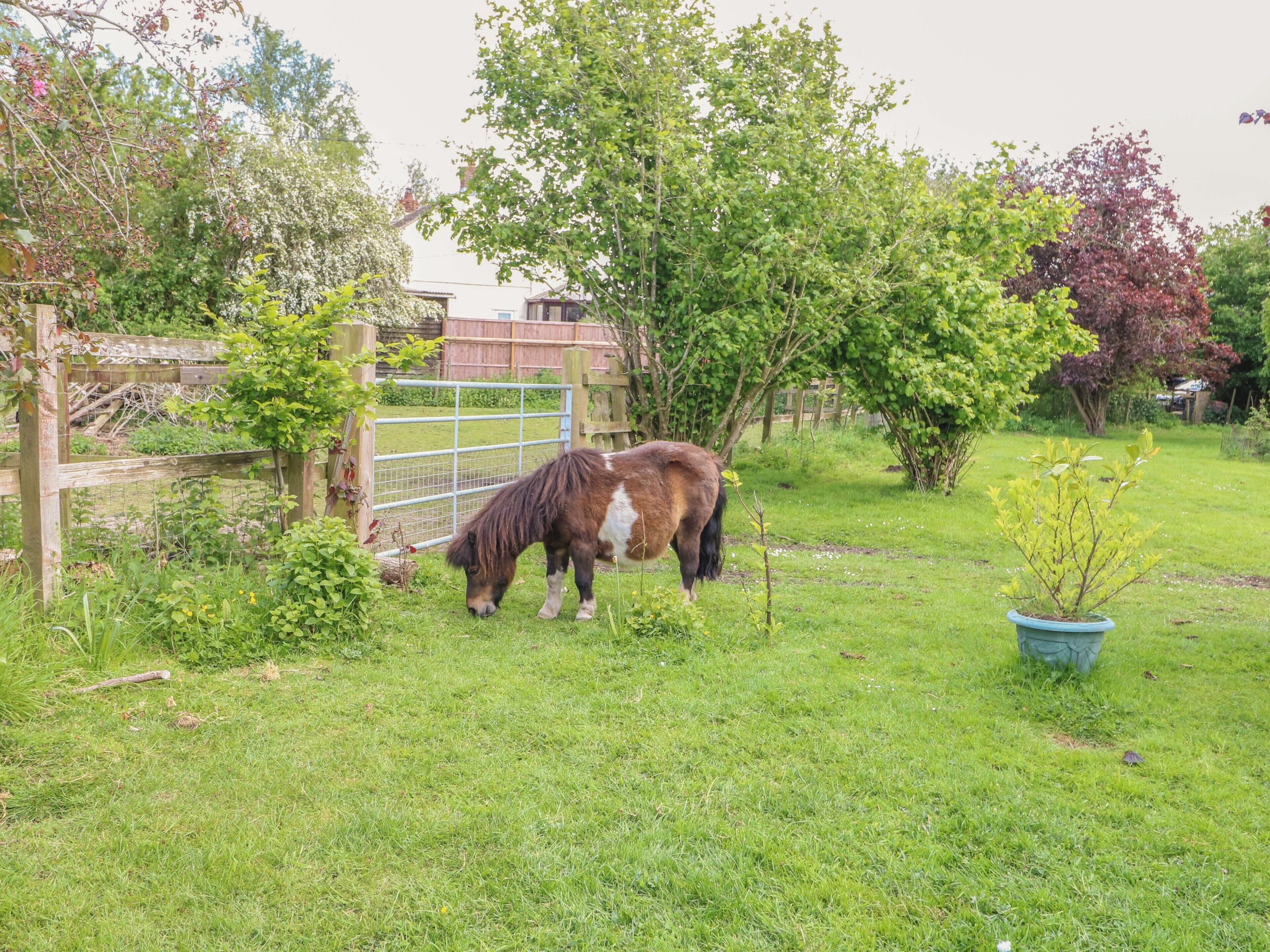 A stable with a horse grazing in a fenced area with trees and a small garden.