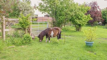 A stable with a horse grazing in a fenced area with trees and a small garden.