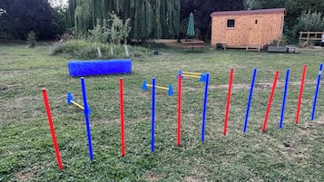 Un espacio al aire libre con césped y una estructura de madera al fondo, que podría ser un cobertizo o un depósito.