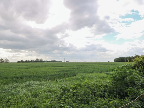 A wide-open field with a line of trees in the distance and a cloudy sky. - Hazel (Wisbech)