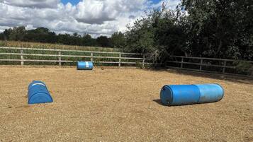 Un espacio al aire libre para entrenamiento, con suelo de tierra y vallas de madera.