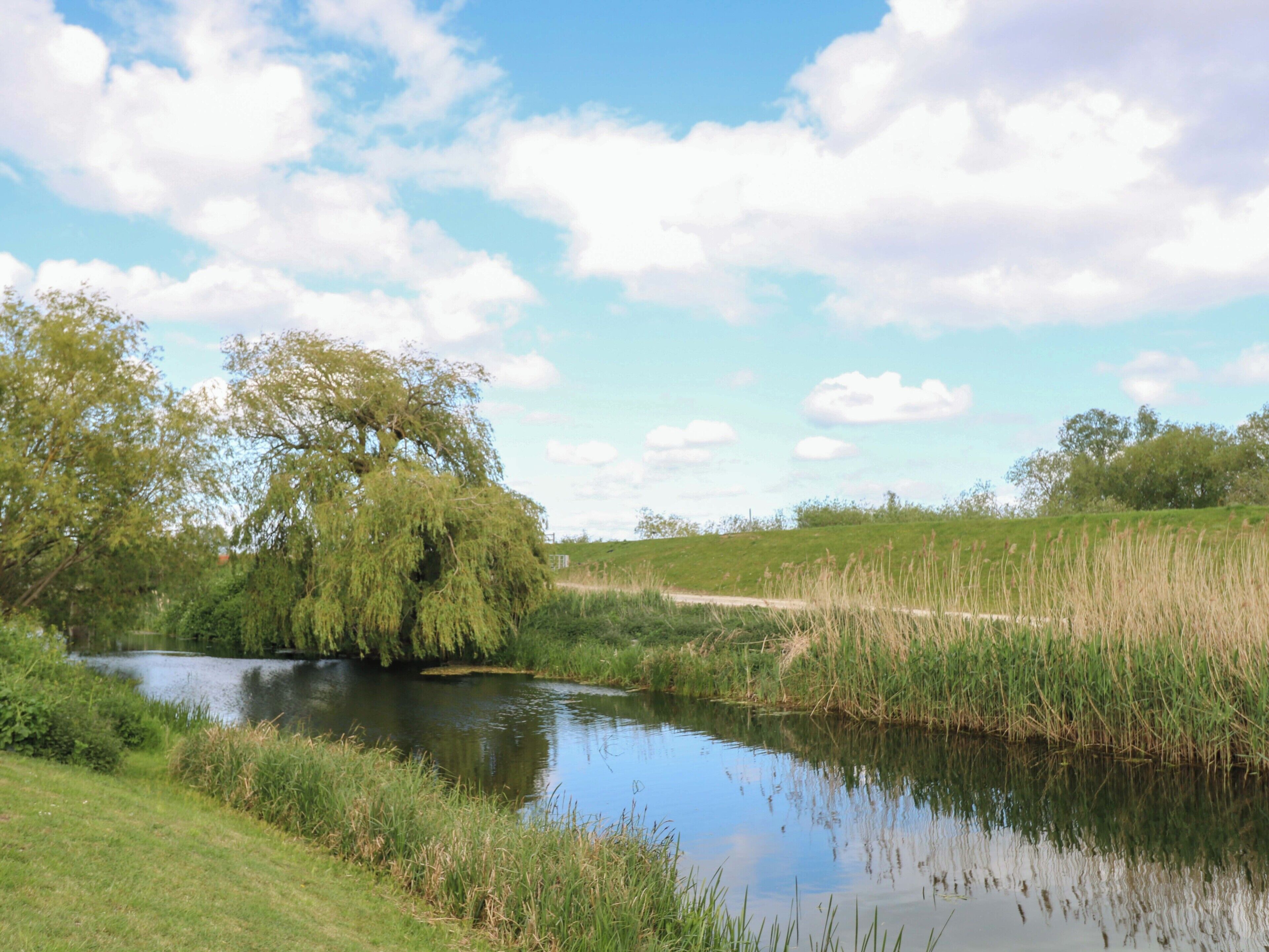 Ein ruhiger Fluss mit einer Weide, grasbewachsenen Ufern und blauem Himmel.