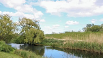 Ein ruhiger Fluss mit einer Weide, grasbewachsenen Ufern und blauem Himmel.