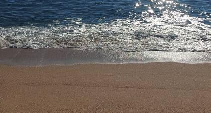 Apartnment Fanals. Lloret de mar