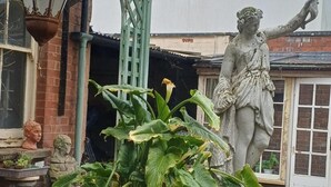 Billede uden beskrivelse, 3 af 15, knap