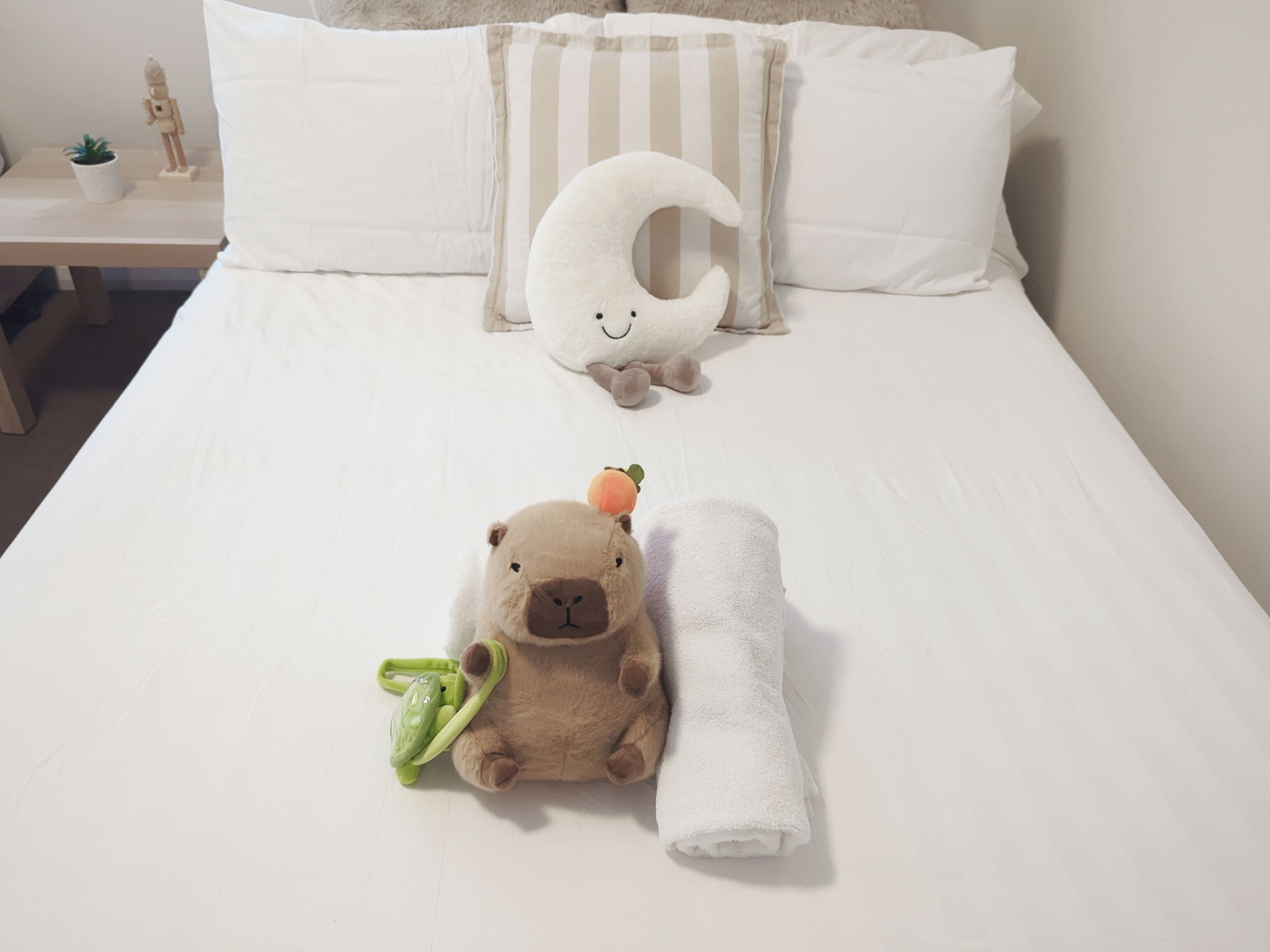 Iron/ironing board, WiFi, bed sheets