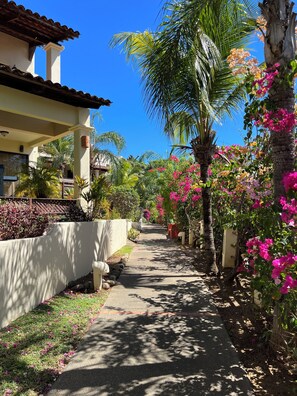 Ein mit Palmen und Bougainvillea bepflanzter Weg, der zu einem Gebäude mit Ziegeldach führt.