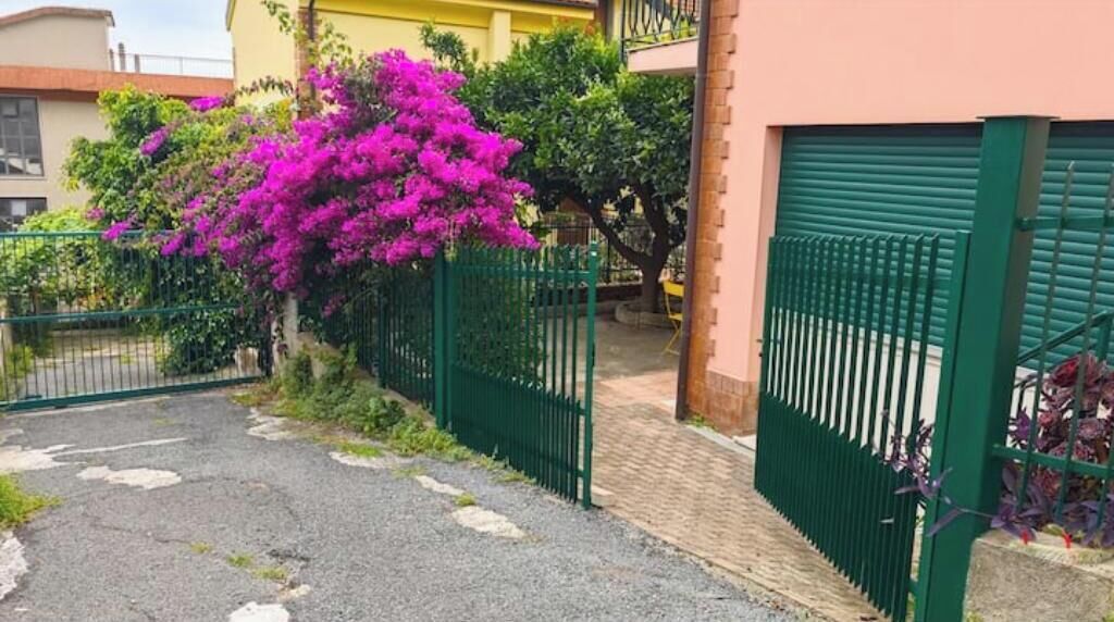 A paved driveway with a green metal fence, a pink flowering bush, and a building with a green gate.