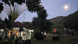 A residential area with houses, a large tree, and a hill in the background. - Mountain Front Hut For 2 Rare Birds, Bikes, Nature (Kaeng Krachan)