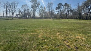 A grassy field with trees and a clear sky. - Pocket" mobile home in the heart of the pony club (Hostens)