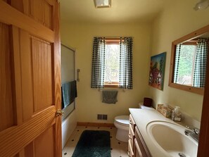Bathroom - 3-bedroom home near Big Glen Lake (Maple City)