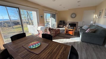 Fireplace, DVD player, books