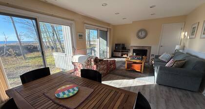 NEW!!! 1-bedroom condo on the Crystal River at the Homestead w/Lake MI access