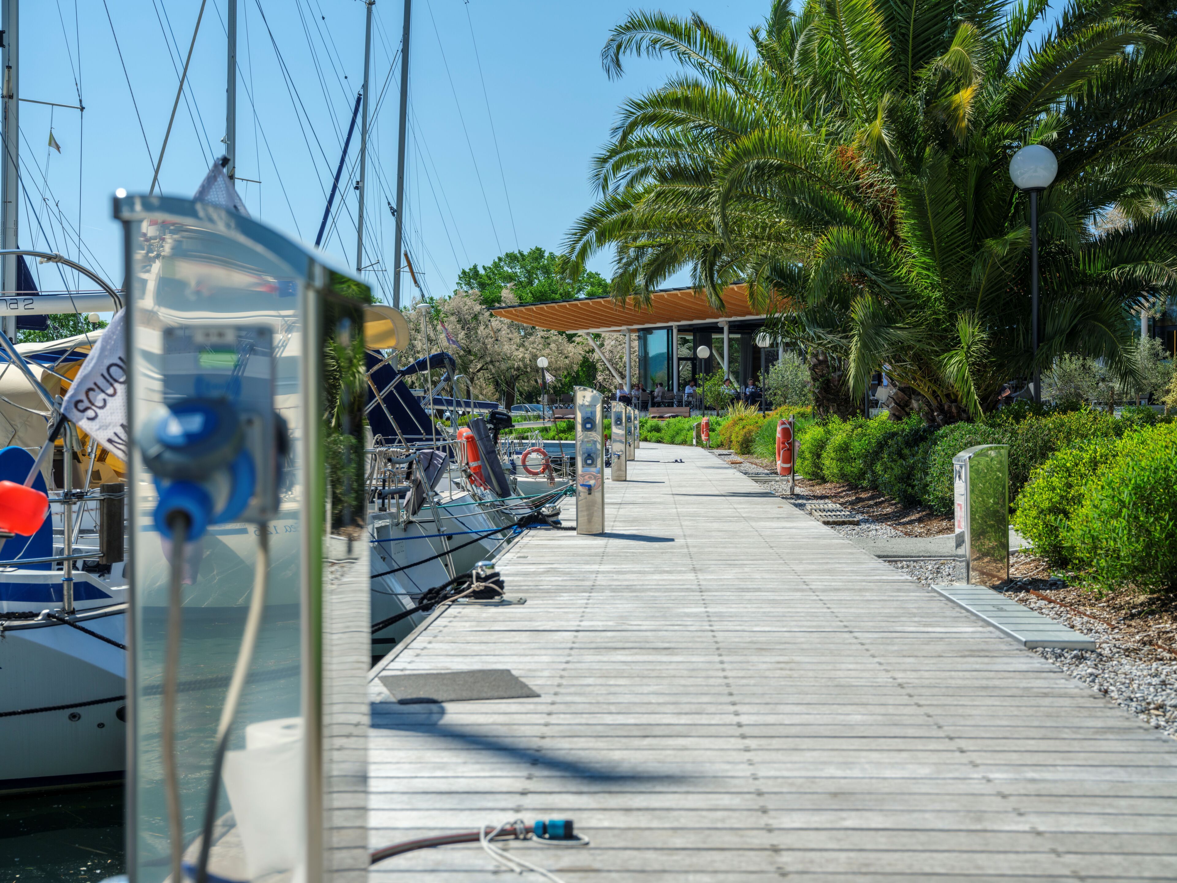 A marina with boats docked, a walkway, and palm trees.