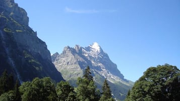 Habitación doble, vistas a la montaña | Miscelánea
