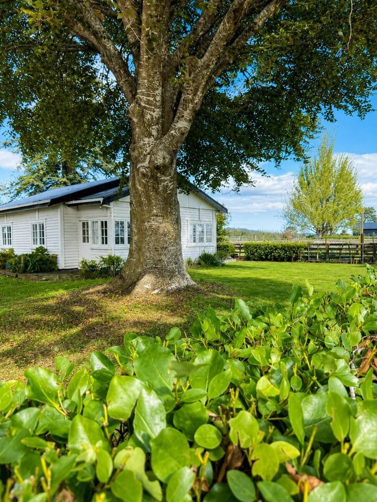 Quiet rural retreat between Hamilton & Cambridge