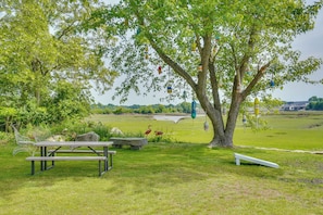 A picnic area with benches, a picnic table, and a tree with hanging birdhouses. - Lovely 'the Buoys Cottage' on Annisquam River! (Gloucester)