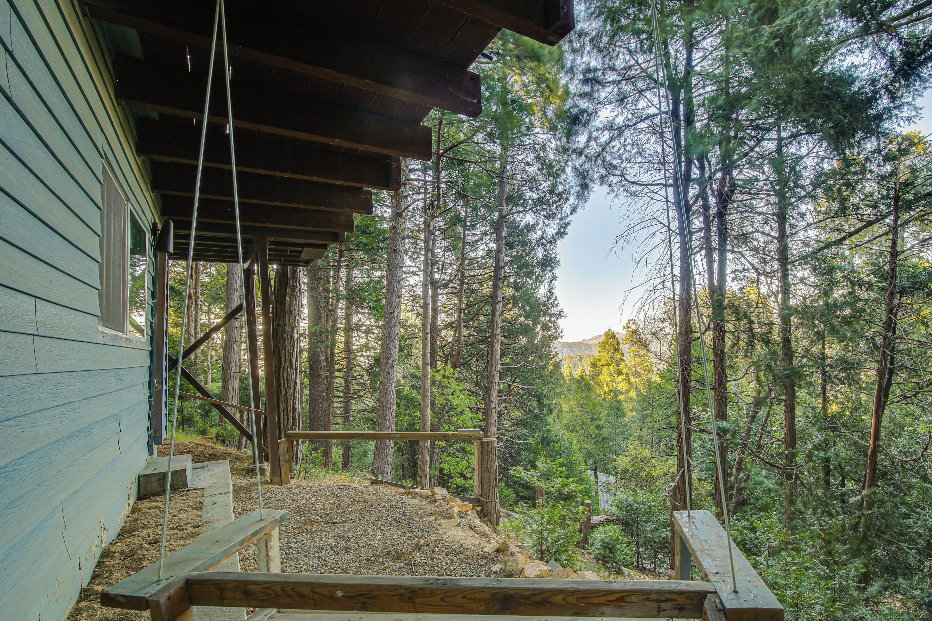A rustic cabin with a wooden deck, surrounded by tall pine trees.
