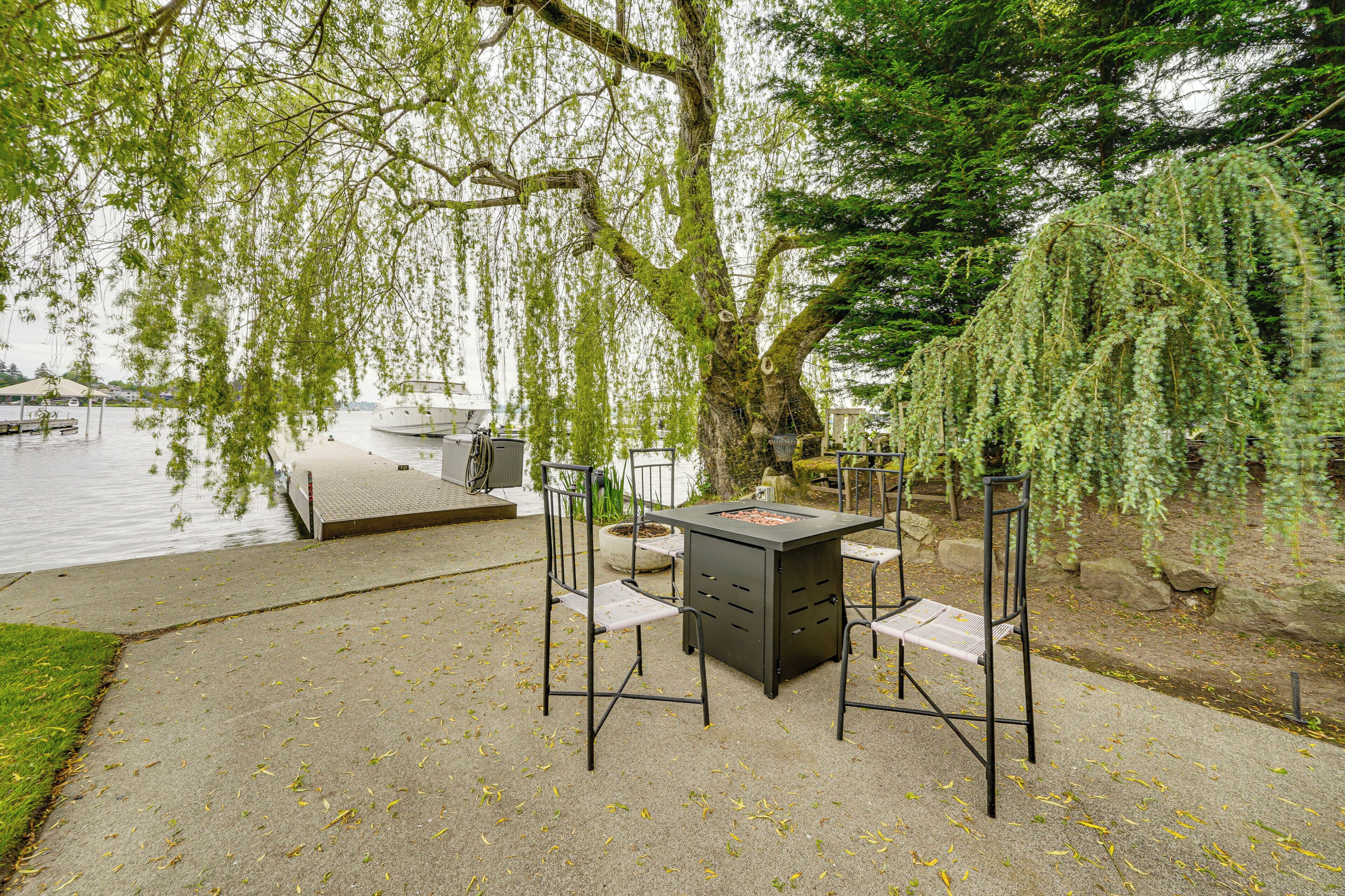 An outdoor seating area with a table and chairs, a concrete floor, and a large tree with hanging branches.