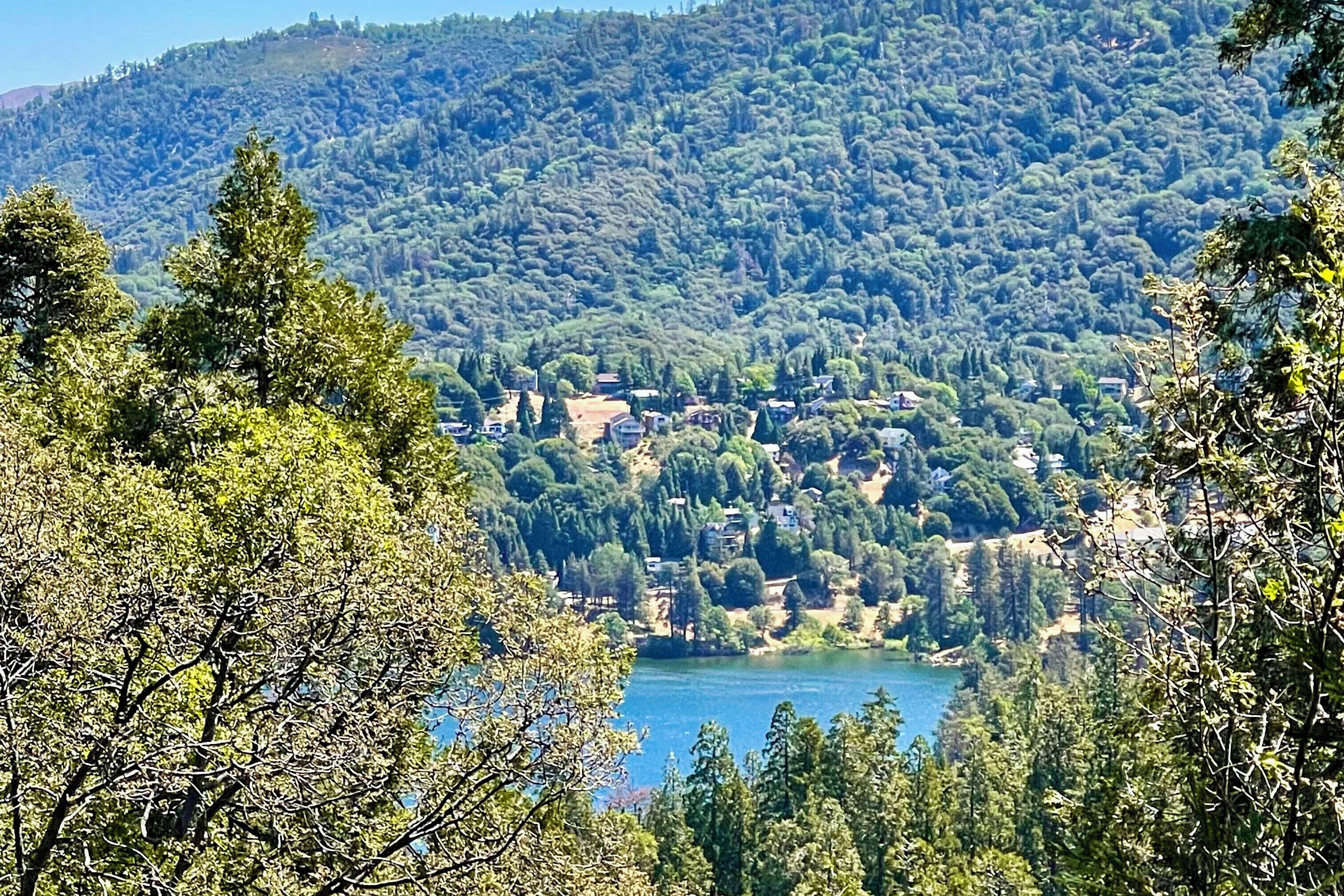A mountainous landscape with a lake, dense forest, and scattered buildings.