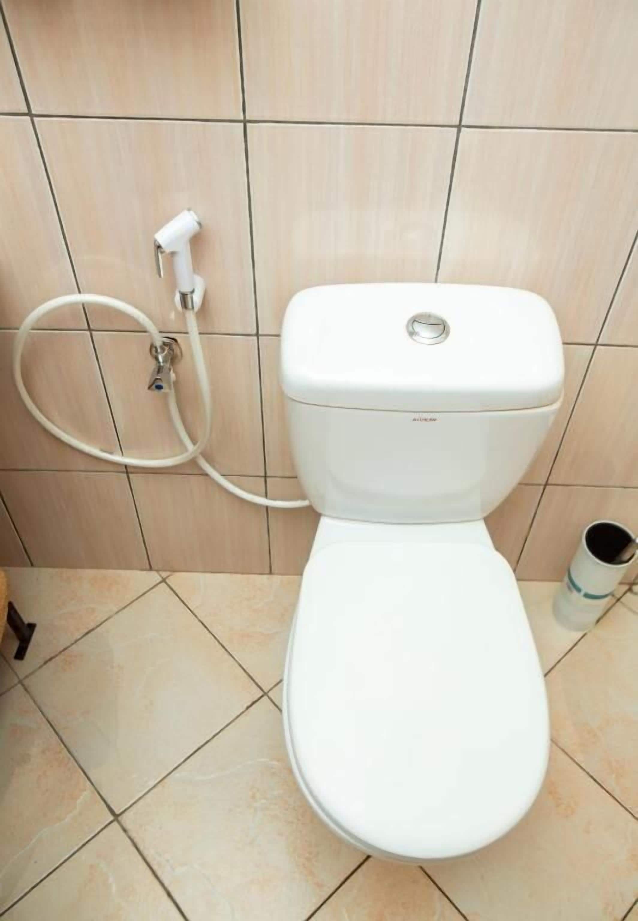 A toilet with a bidet attachment, a toilet paper holder, and a toilet brush.