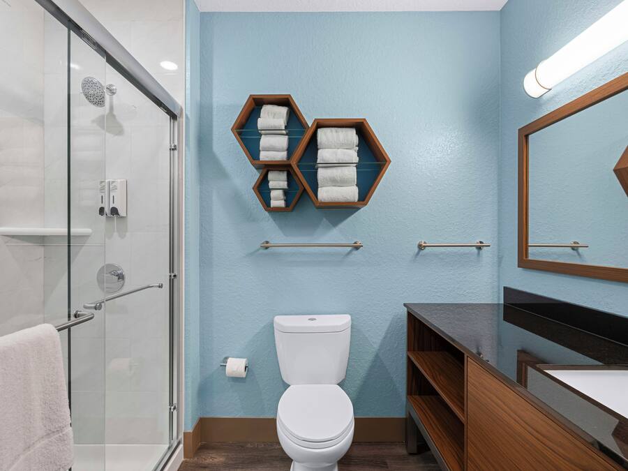 A modern bathroom with a glass shower enclosure, a toilet, and a vanity with a mirror.