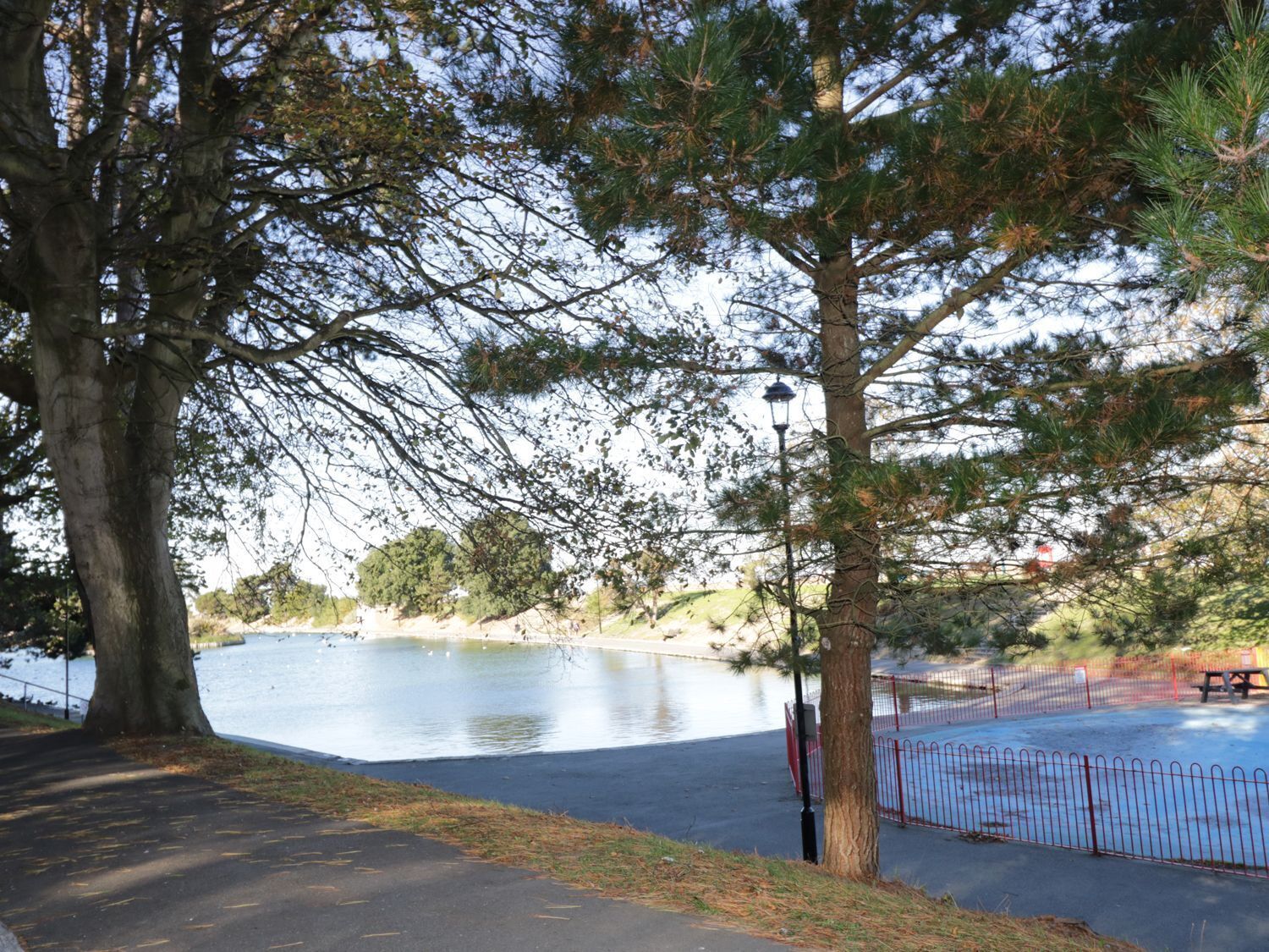 A park with a lake, trees, a lamp post, and a fenced area.
