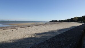 A beach with a clear sky, a sandy shore, and a line of trees in the background. - Hamilton's Studio (Ryde)
