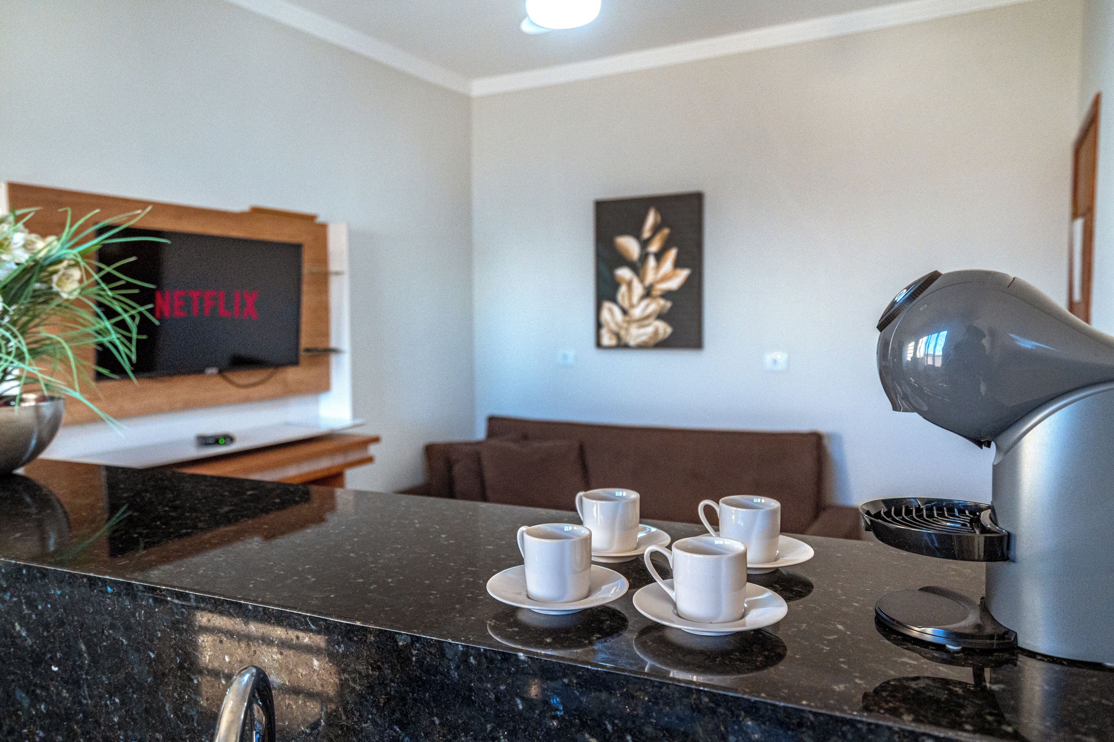 A modern living area with a coffee machine, a flat-screen TV displaying 'NETFLIX,' a decorative wall piece, and a brown sofa.