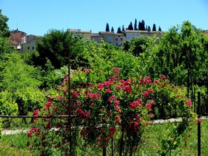 Property grounds - Bed and Breakfast 'La Fenière' with Shared Pool, Shared Terrace and Wi-Fi (Carcès)
